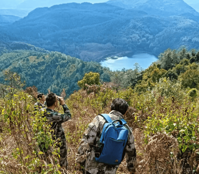 腾冲北海湿地为鸟类打造栖息天堂