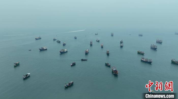 疍家海味 北海虾饼