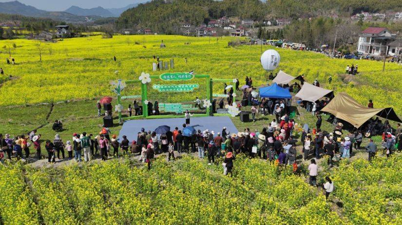 宣城旌德：花海乐淌 美不胜收