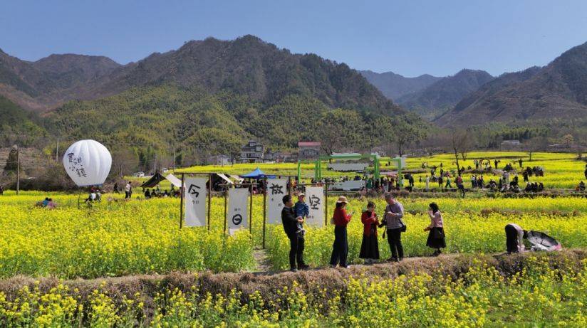 宣城旌德：花海乐淌 美不胜收