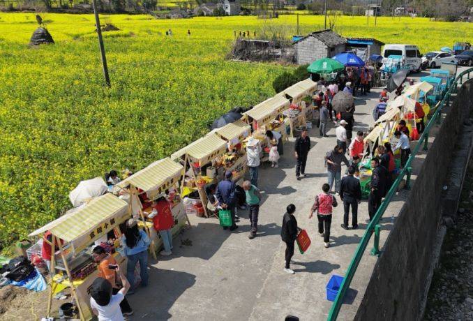 宣城旌德：花海乐淌 美不胜收