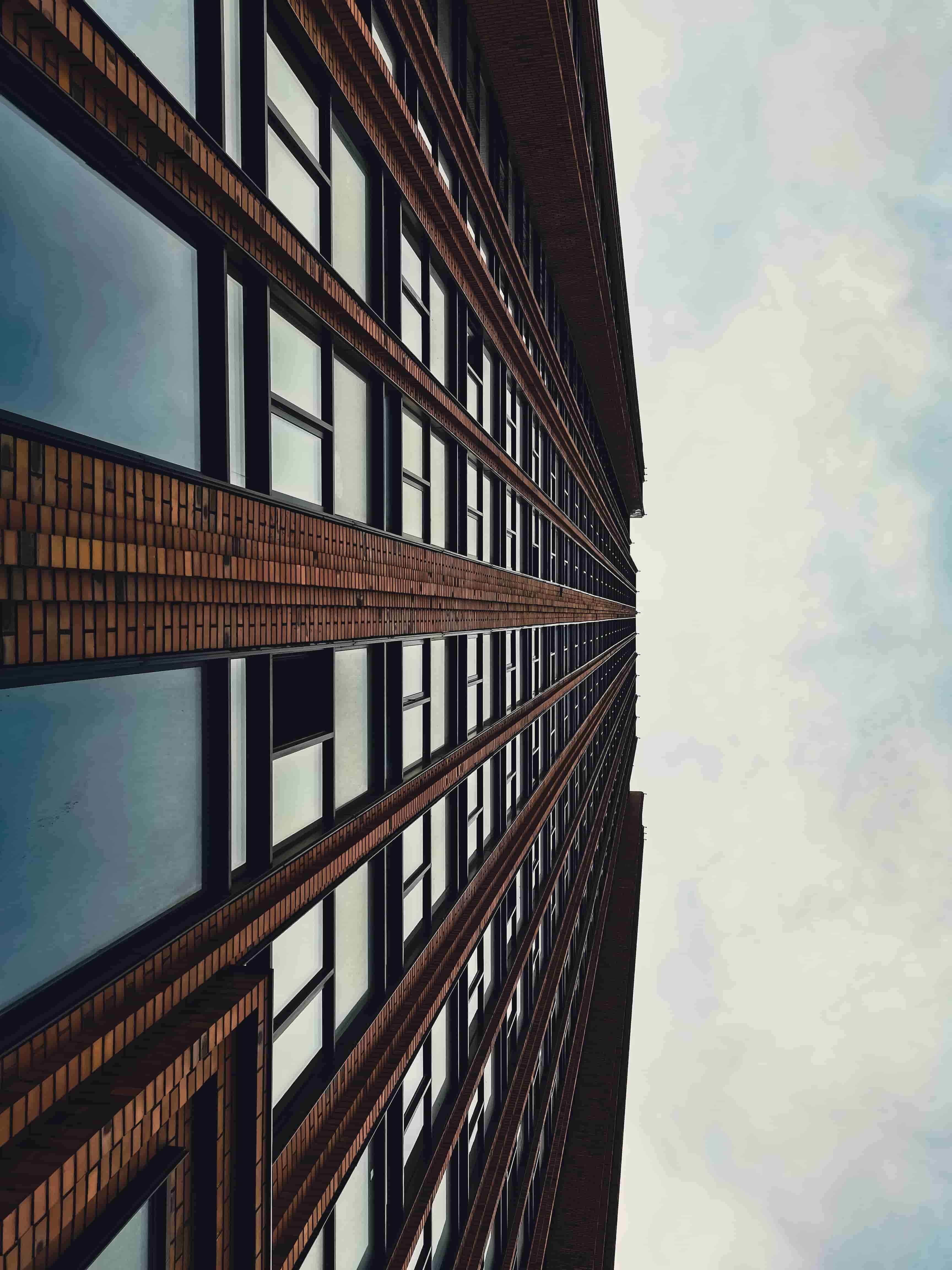 洋葱：多变烹饪技巧与诱人风味