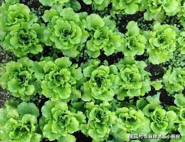 洋葱炒腊肉，馋的口水流！