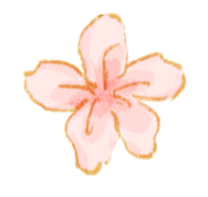 广西广播电视台综合广播小新闻官火热招募中!期待你的加入,一同绽放光芒!