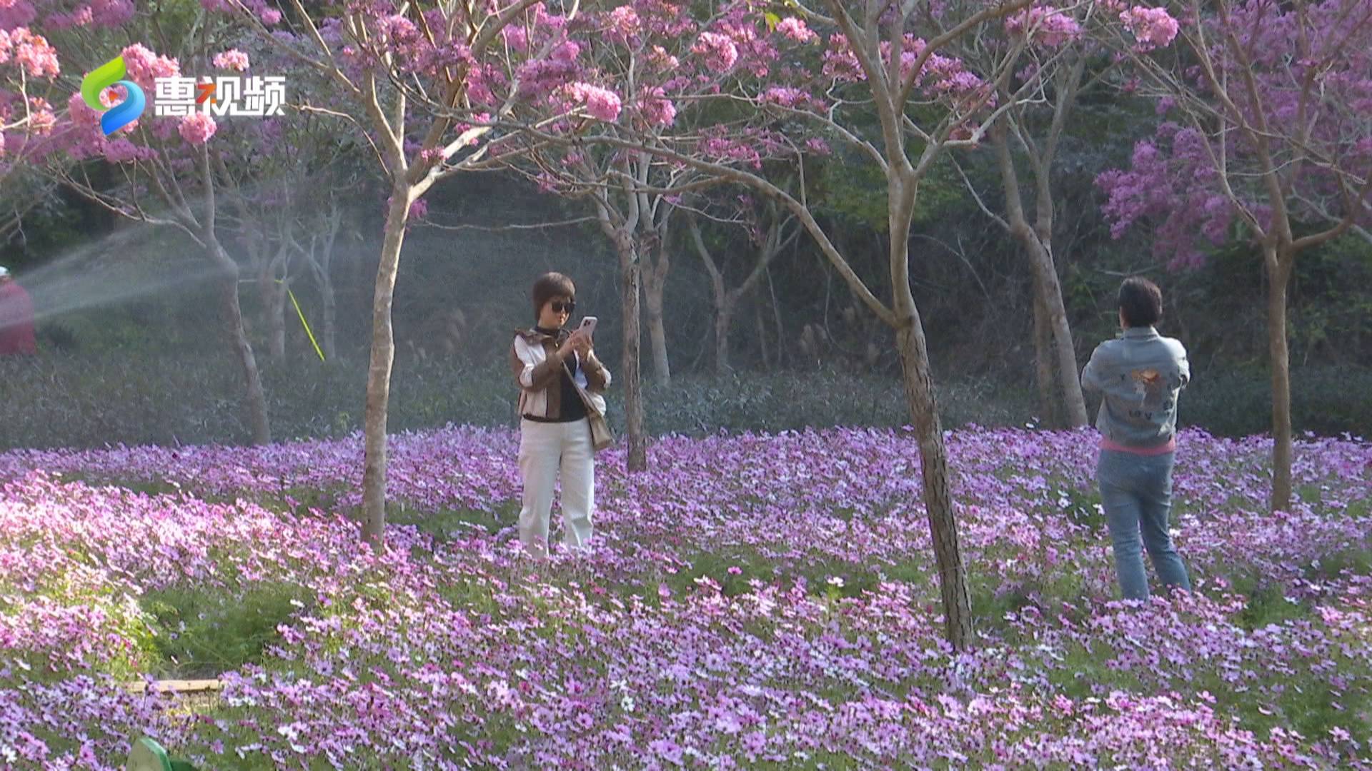 惠州：新建1000座！