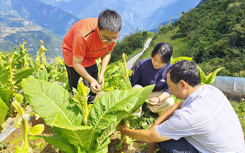 湖北长阳烟草：以才为本 育才为先