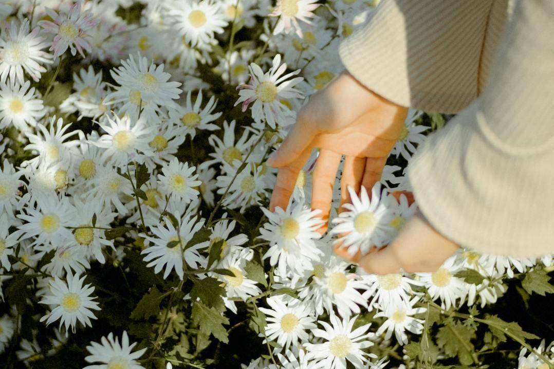 第一个离开的人：有缘则聚，无缘则散