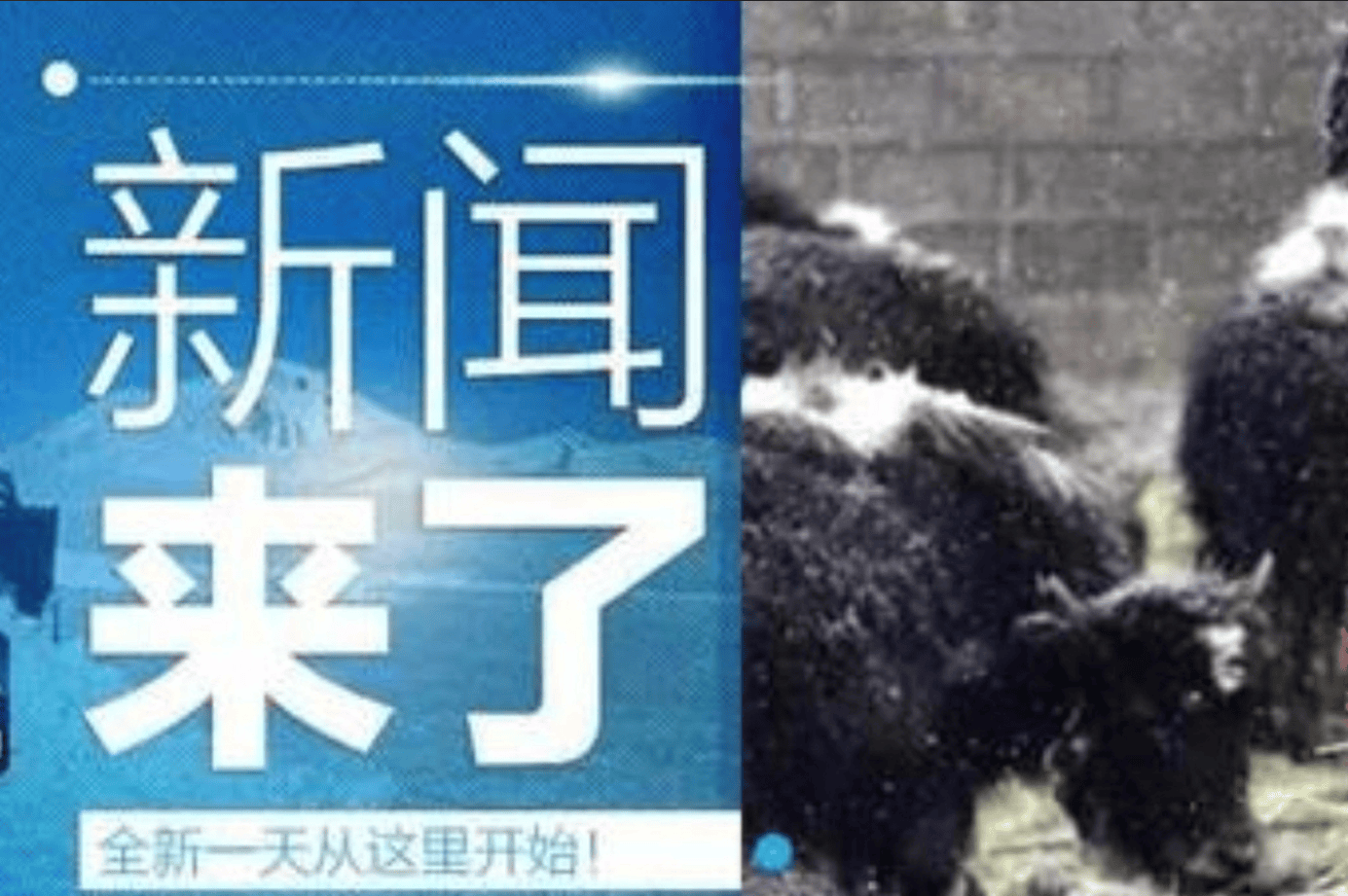 一则新闻被误读 冷嘲热讽不在乎