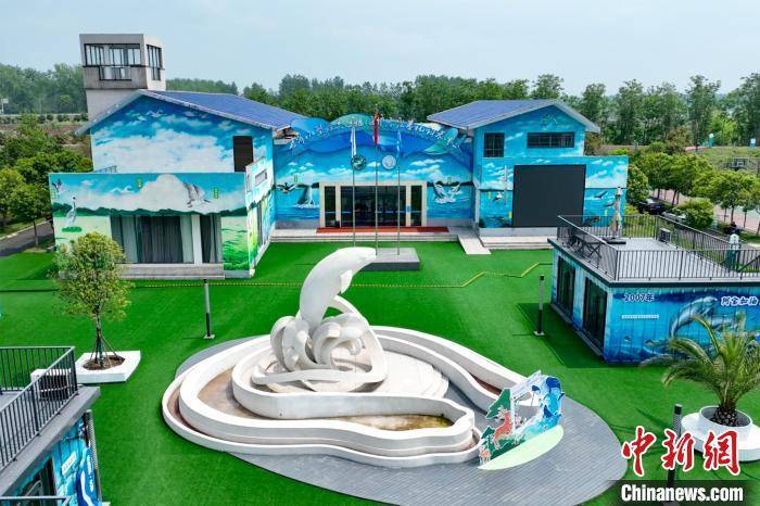 湖北石首：江豚跃浪天鹅洲 长江生态展新颜