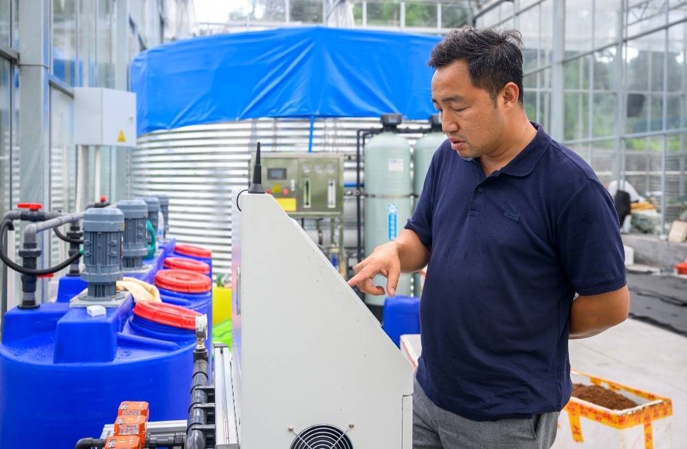 图片新闻｜南川：“果魔方”赋予番茄“数字生命”