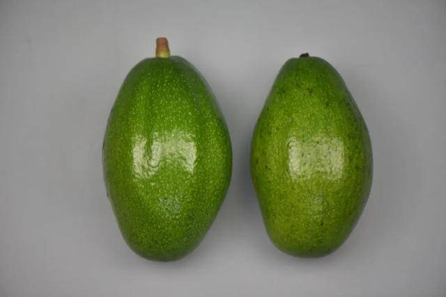 填补国内空白,广西两个水果新品种获国家授权