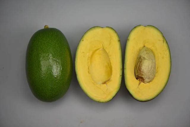 填补国内空白,广西两个水果新品种获国家授权