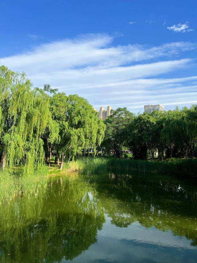 安阳飘过“沙画云”