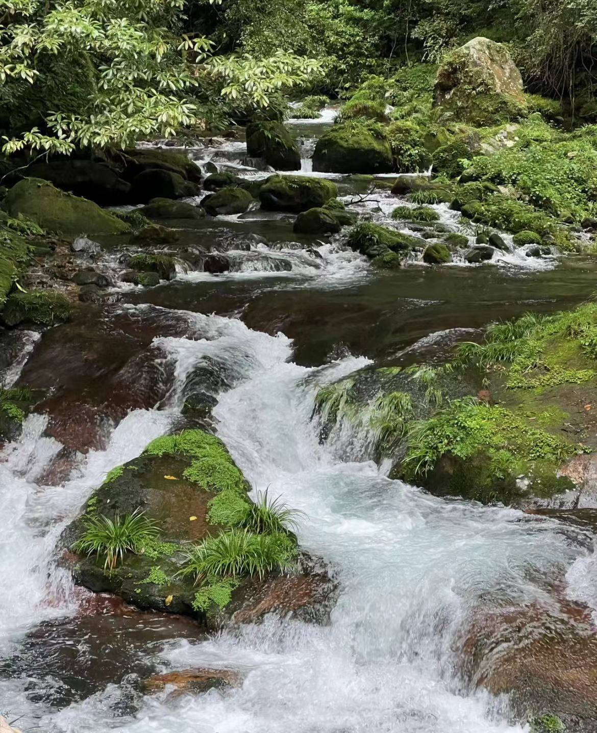 安阳去张家界旅游攻略？安阳人去张家界？攻略在手说走就走！