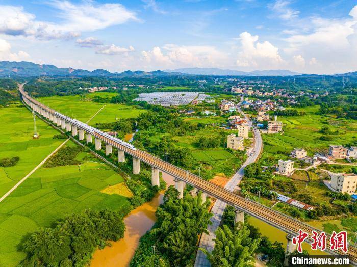 广西梧州龙圩：动车飞驰过田野