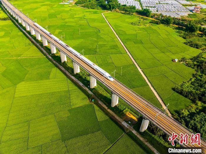 广西梧州龙圩：动车飞驰过田野