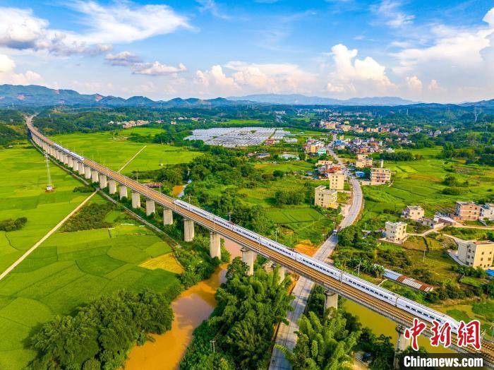 广西梧州龙圩：动车飞驰过田野