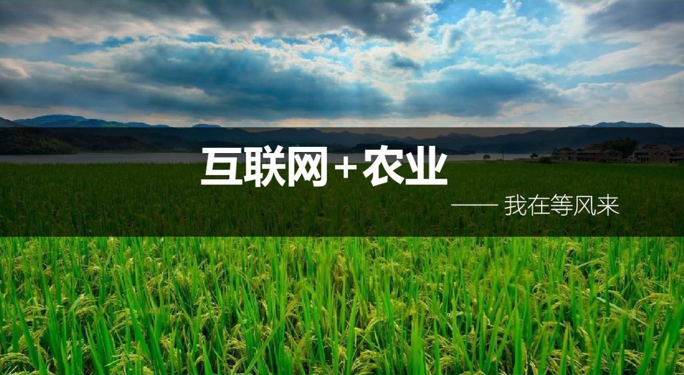 蜀州望西岭开启农业新未来,畅享农业新体验