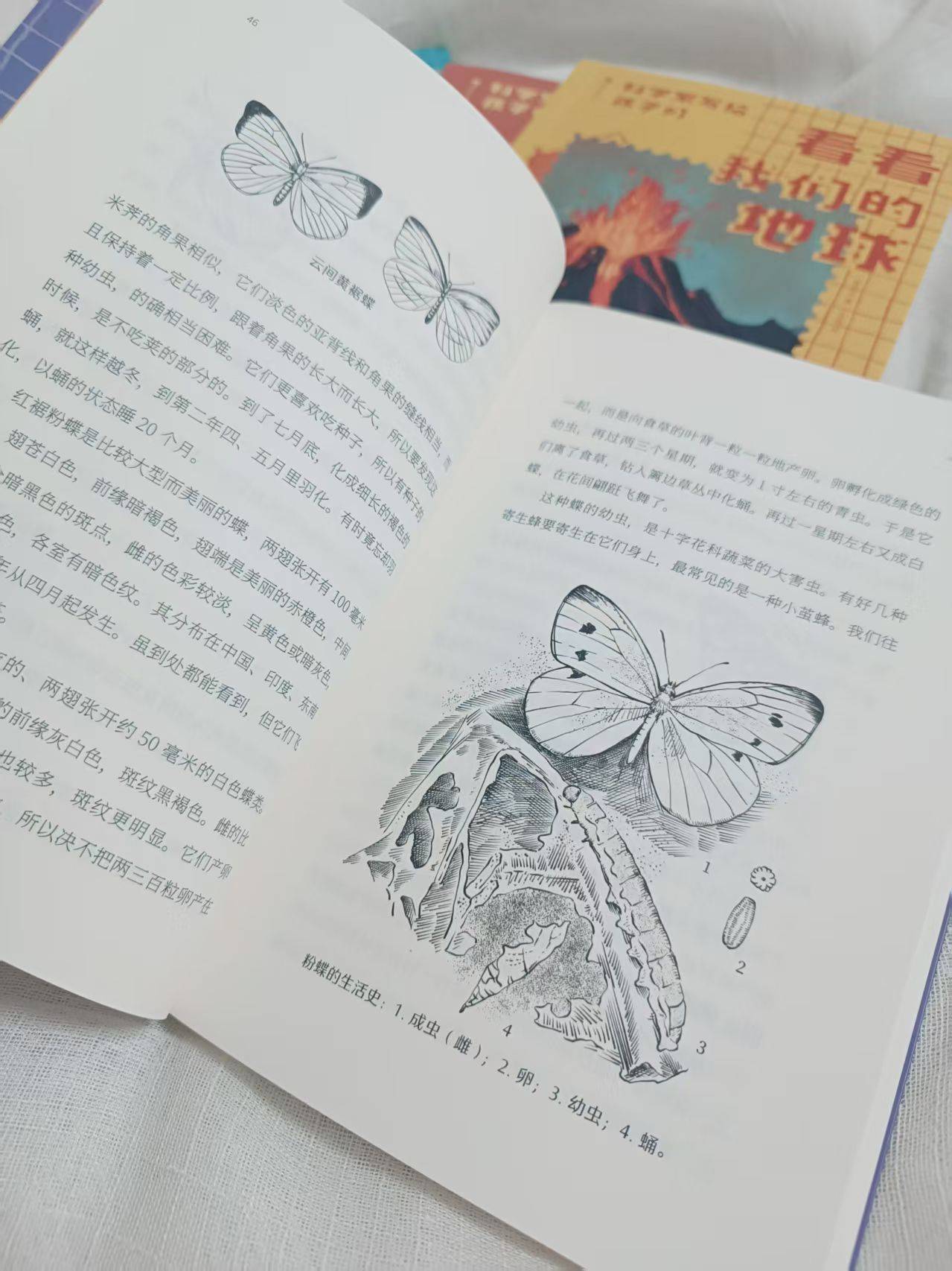 顶尖科学家写给“未来科学家”们的科学世界