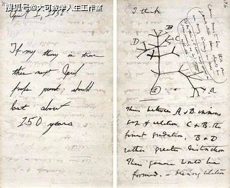 散步，科学家的灵感源泉