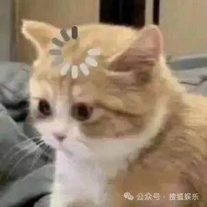 离婚三年又被拍到亲密逛超市，他俩这是纯带娃还是真复合了？