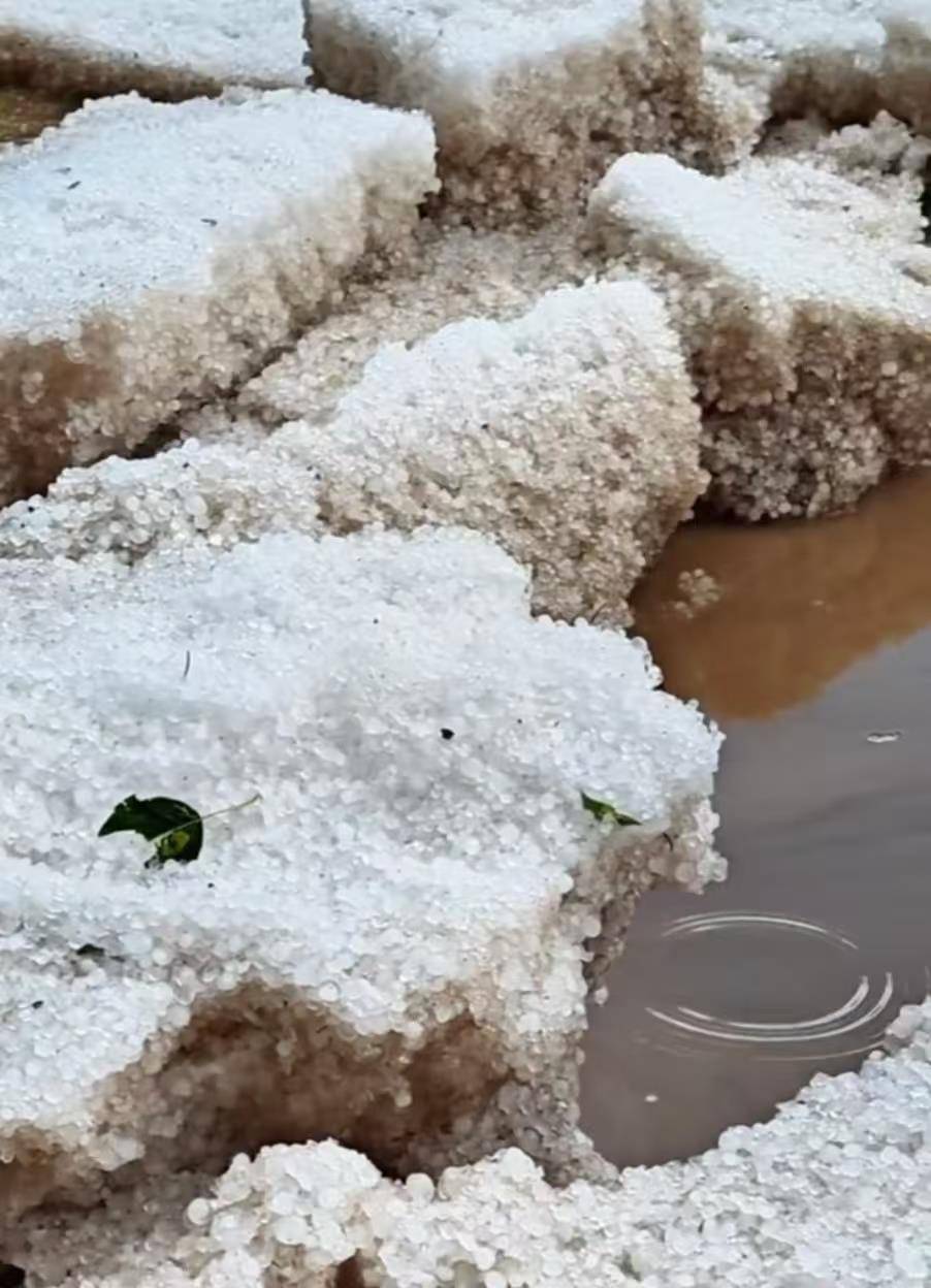 甘肃夏河县遭遇冰雹袭击：有游客称持续大半个小时，当地人称“十年不遇”