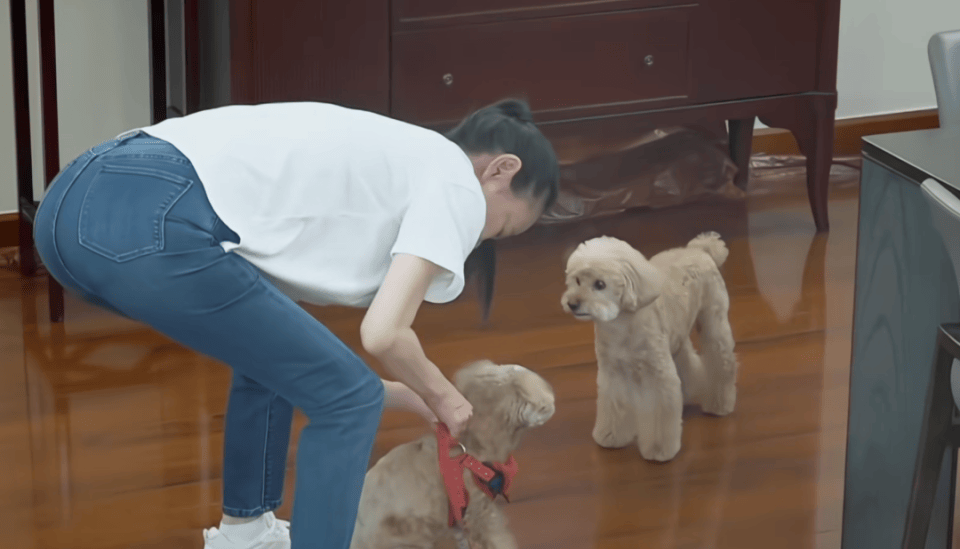 65岁刘雪华新形象曝光，初代“琼瑶女神”老到认不出，殷桃：吓到我了！