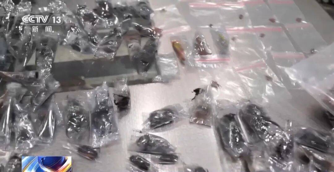 掀开衣服，密密麻麻！200多只活虫惊现深圳机场……