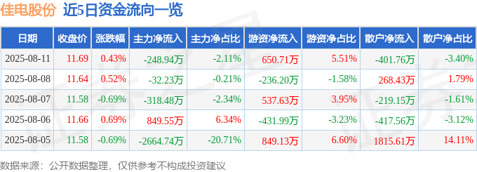 股票行情快报：佳电股份（000922）8月11日主力资金净卖出248.94万元