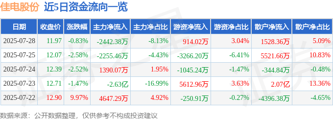 股票行情快报：佳电股份（000922）7月28日主力资金净卖出2442.38万元
