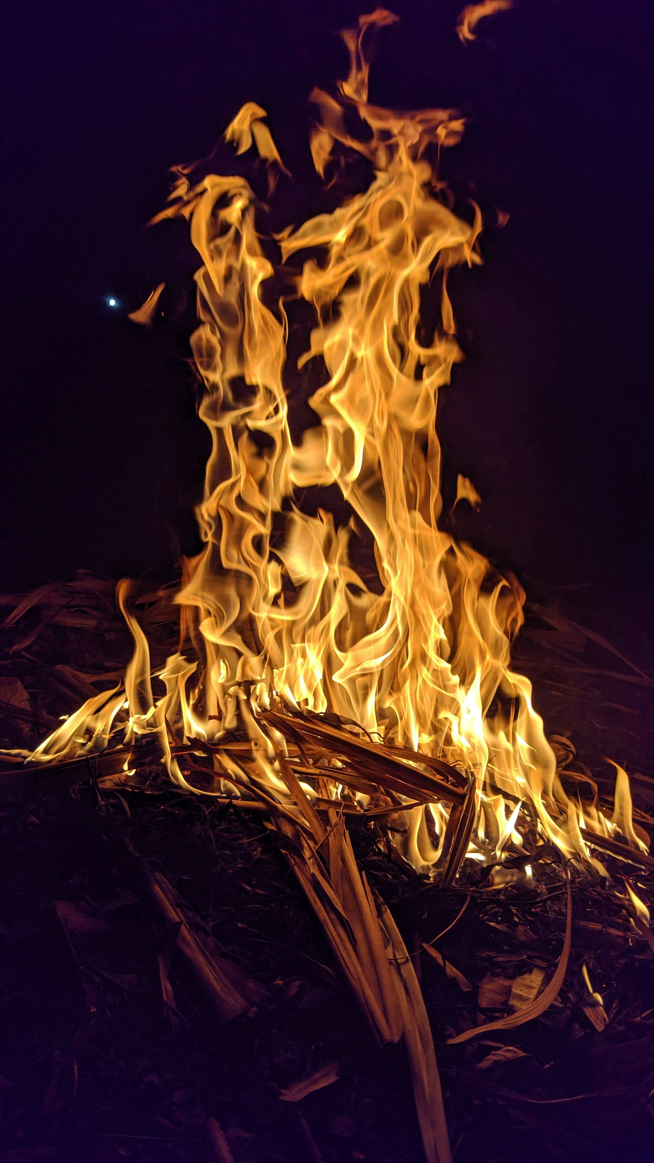 医生警告：睡前玩手机的危害，你的健康会怎样？