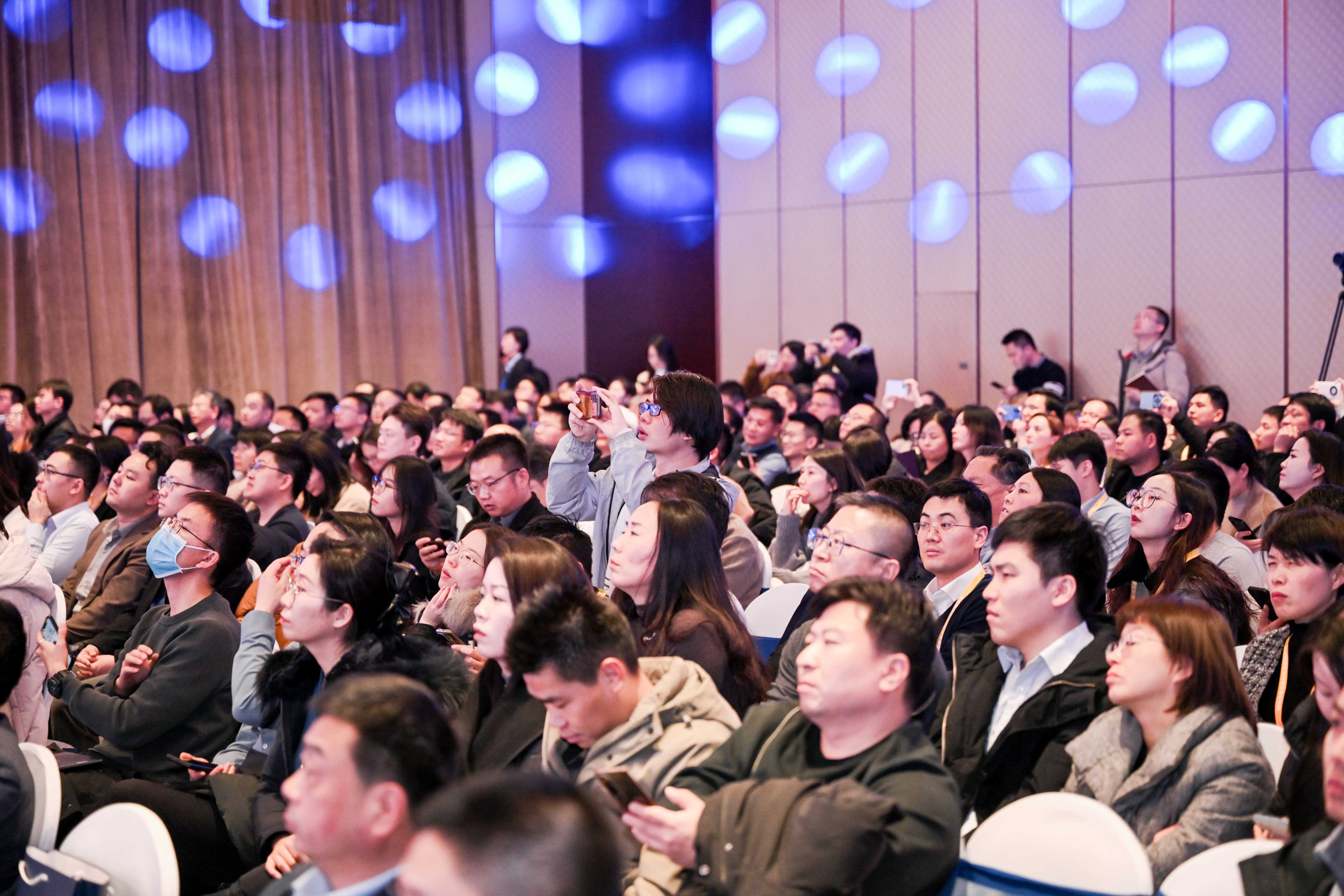 交易所债券市场的品种(交易所债券实行什么制度)