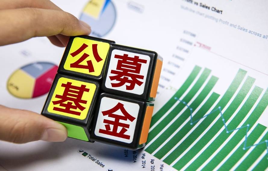 什么是货币基金(什么是货币基金和债券基金)